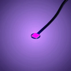 Astro Light Large - Purple 30cm (4 Pack)(Lmb 2 0 Astro Light Large Purple 30cm 4 Pack)