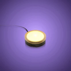 Solar Light Warm White - 15cm (2 Pack)(Lmb 2 0 Solar Light Warm White 15cm 2 Pack)